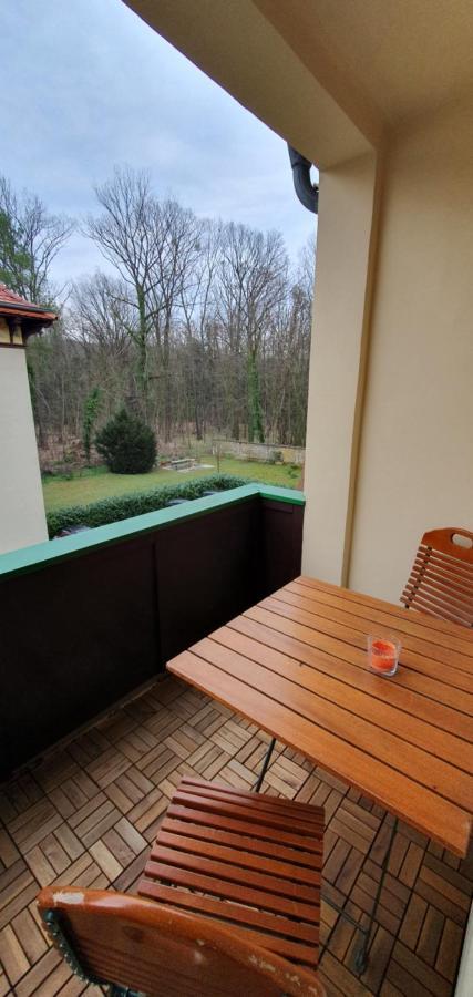 Maisonettewohnung In Elbnaehe Drezno Zewnętrze zdjęcie